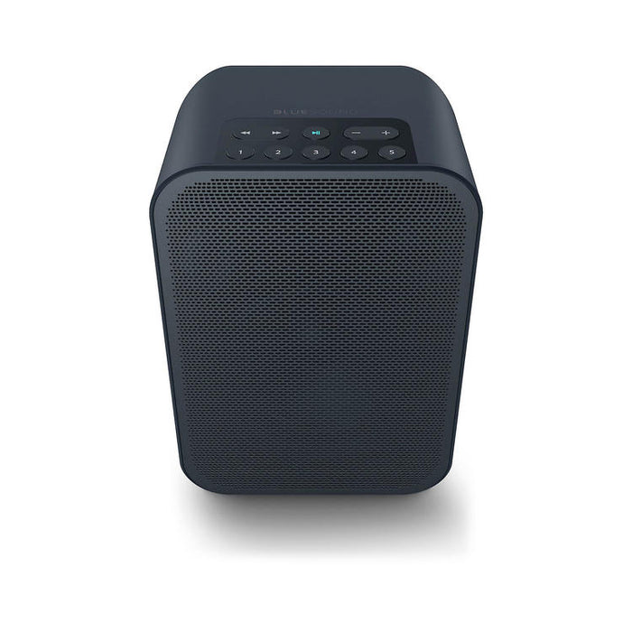 Bluesound PULSE FLEX 2i | Haut-parleur de diffusion multi-pièces - Sans fil - Portable - Bluetooth - Noir-Sonxplus Drummondville