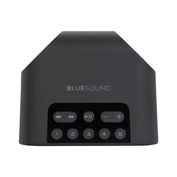 Bluesound PULSE FLEX 2i | Haut-parleur de diffusion multi-pièces - Sans fil - Portable - Bluetooth - Noir-Sonxplus Drummondville